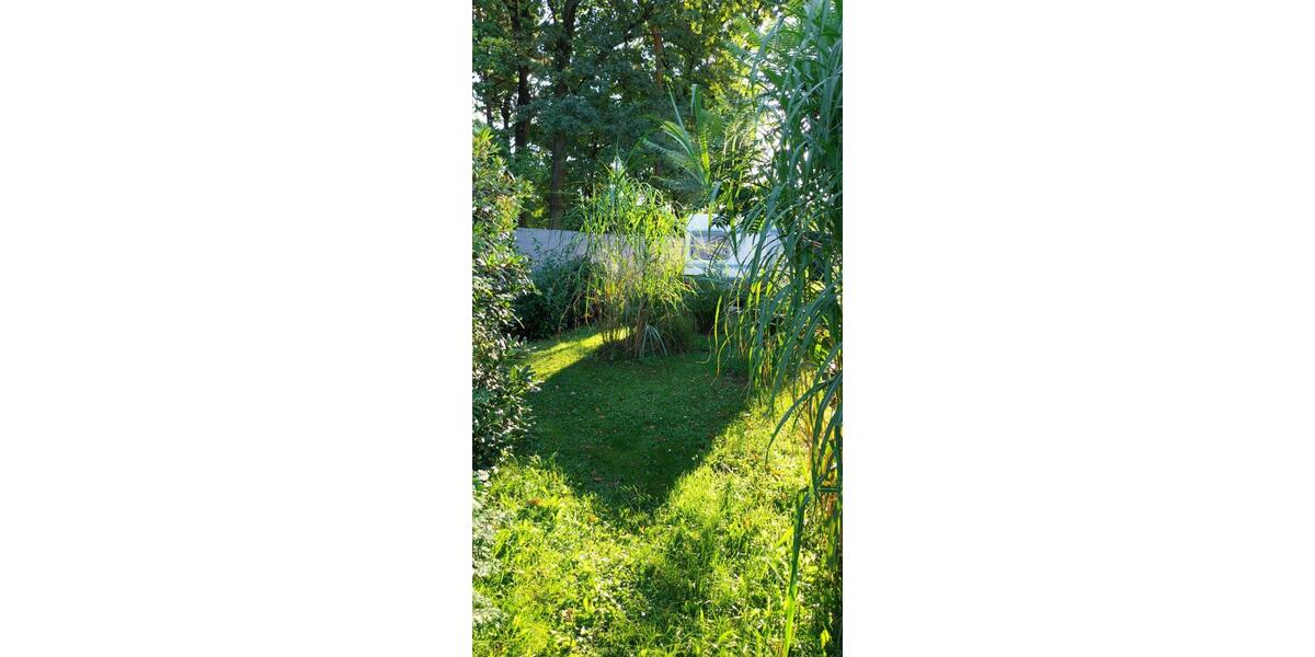 Bauernhaus, Landhaus Spremberg - 1 Zimmer, 50 m&sup2;, 60.000&euro; | Angebot:26279460