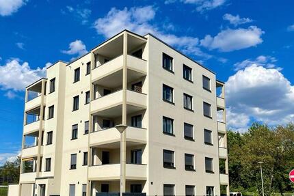 Innovative 4 Raum Wohnung in Cottbus mit Smart Home Steuerung