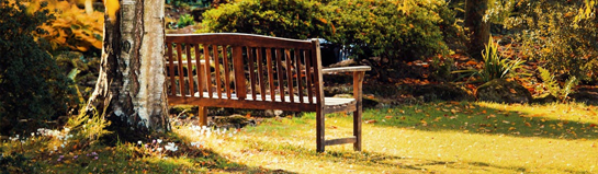 Spreeauenpark in Cottbus