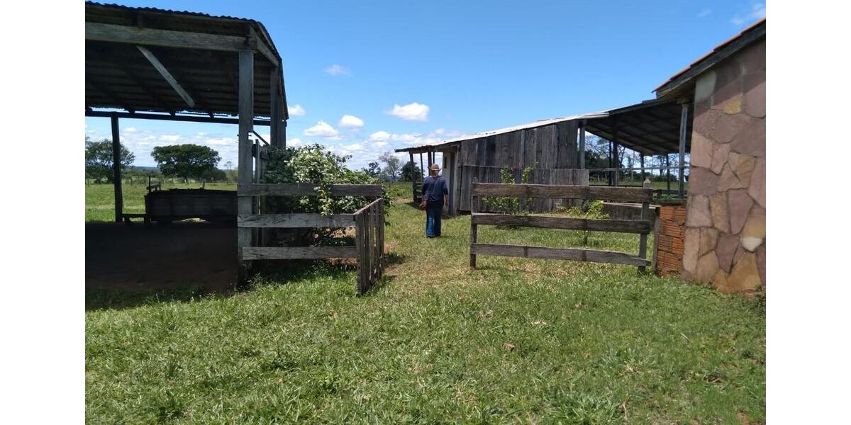 Einfamilienhaus Cottbus Spremberger Vorstadt - 350.000&euro; | Angebot:25223547