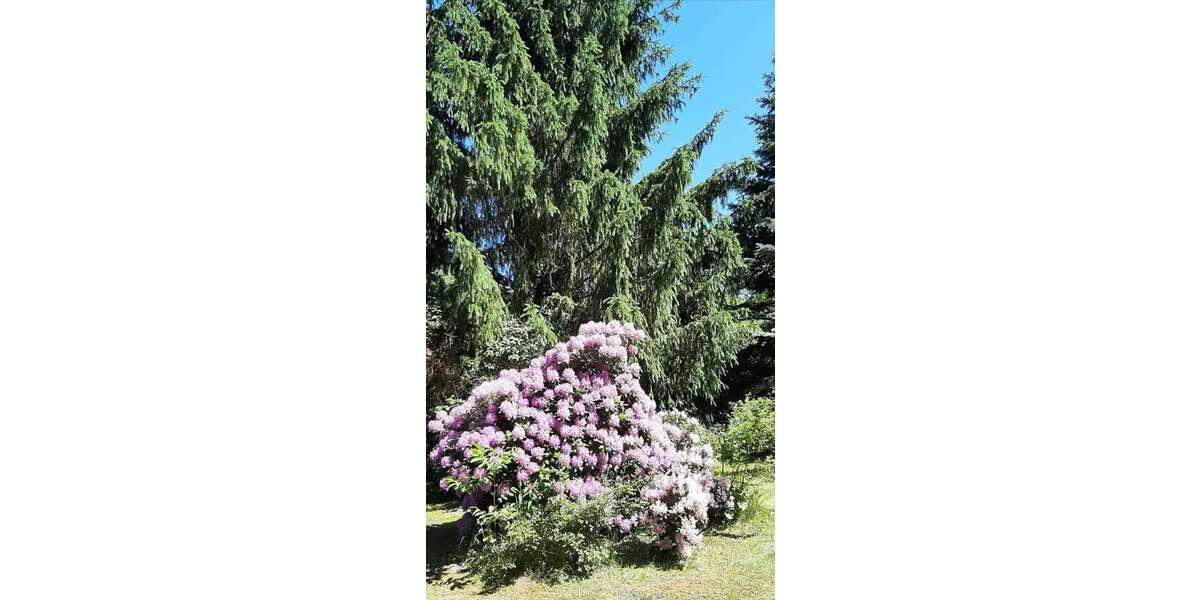 Grundstück Burg (Spreewald) - 380.000&euro; | Angebot:27003789