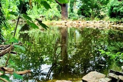 !!! Gebotsverfahren !!! Ehemaliger Schaugarten einer Baumschule möchte wiederbelebt werden! 4 zimmer