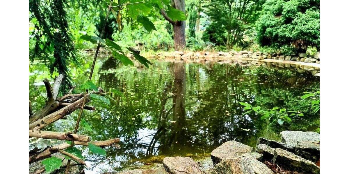 !!! Gebotsverfahren !!! Ehemaliger Schaugarten einer Baumschule möchte wiederbelebt werden! 4 zimmer