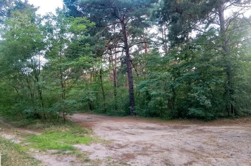 Bungalow zu vermieten