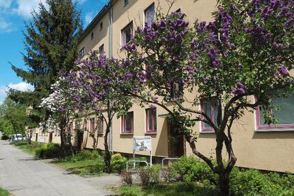 Stopp! Renovierte 2 12-Raum Wohnungen in ruhiger Lage! zimmer
