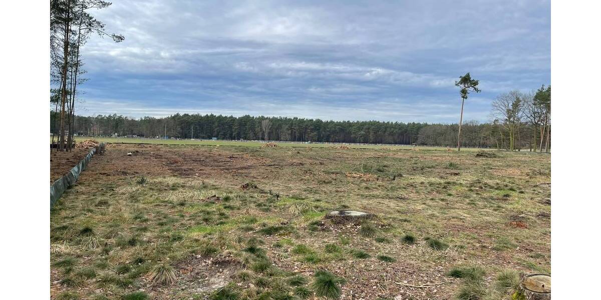 Grundstück Cottbus Sielow - 93.950&euro; | Angebot:19313945