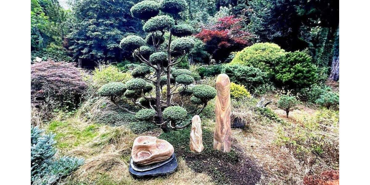 !!! Gebotsverfahren !!! Ehemaliger Schaugarten einer Baumschule möchte wiederbelebt werden! 4 zimmer