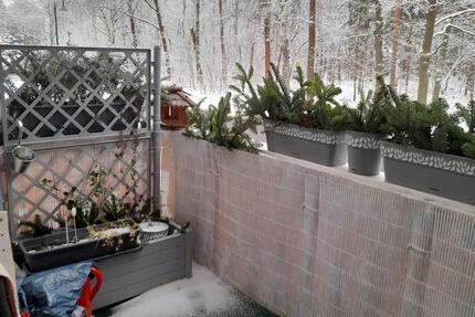 Wohnung Cottbus Gallinchen - 2 Zimmer, 60 m&sup2;, 435&euro; | Angebot:25163321