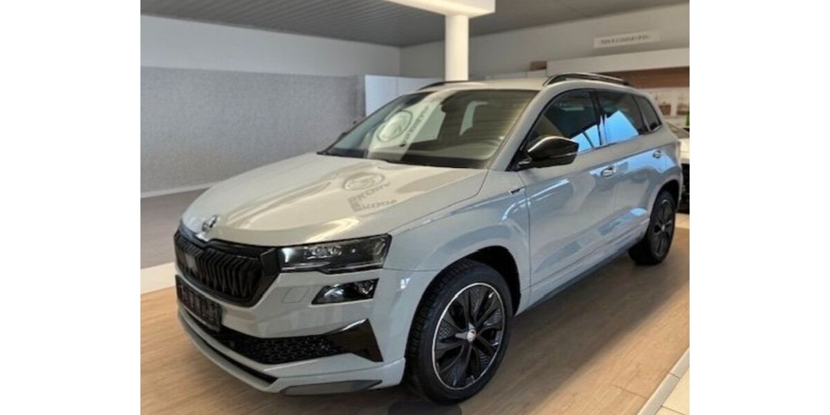 Skoda Karoq 82.000 km 22.999 &euro; Forst 03149