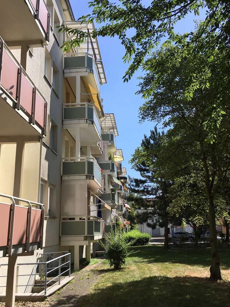 Wohnung zum Mieten in Forst (Lausitz) 321,23 € 49.42 m²