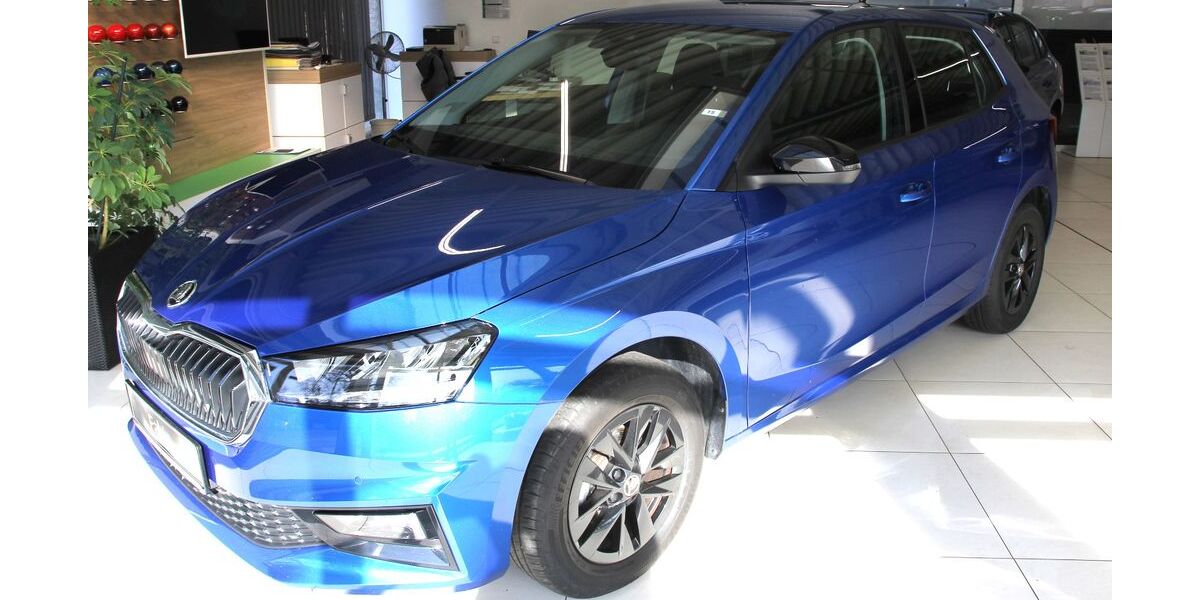 Skoda Fabia 3.021 km 19.390 &euro; Forst 03149