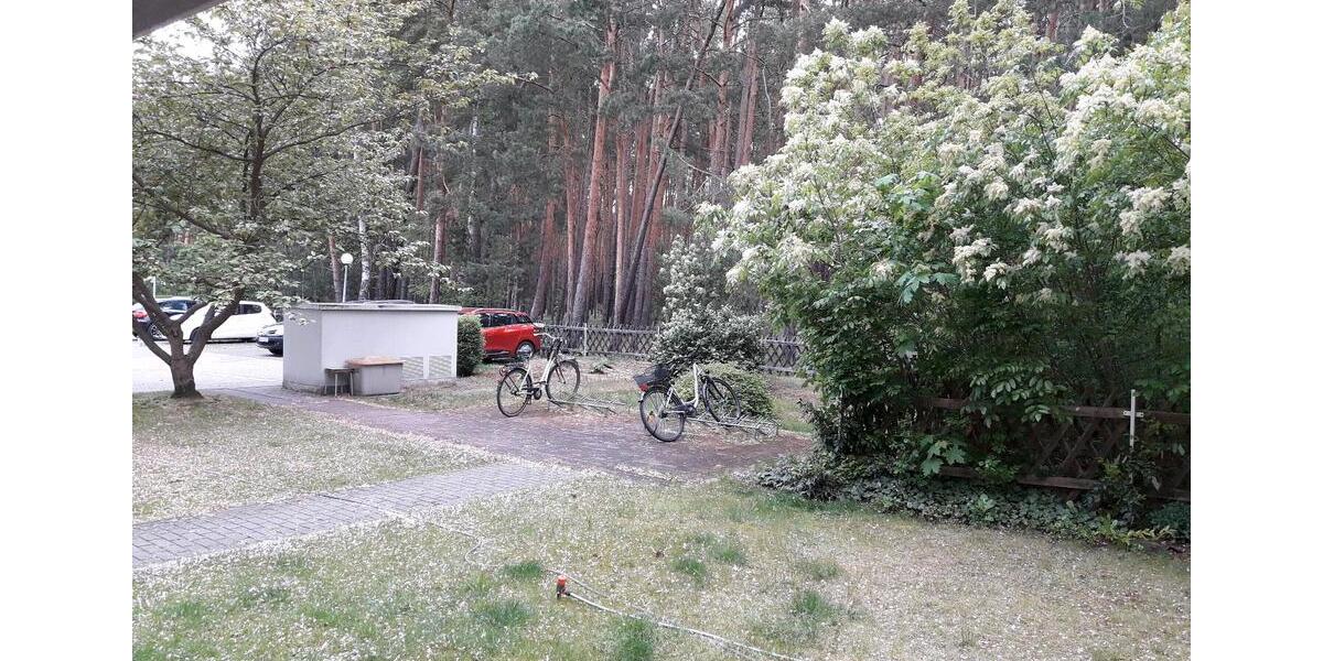 Hochparterre Cottbus Sielow - 2 Zimmer, 62 m&sup2;, 495&euro; | Angebot:24478931