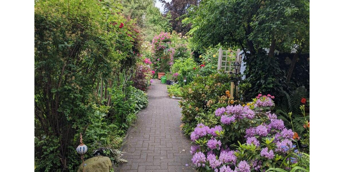 Terrassenwohnung mit Garten, 2-Zimmer, Nähe Staatstheater u Bahnf 2 zimmer