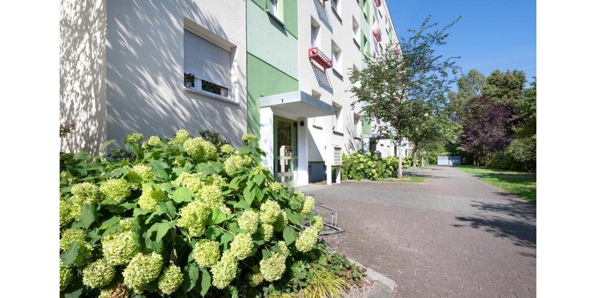 Etagenwohnung Cottbus - 3 Zimmer, 57 m&sup2;, 405&euro; | Angebot:26645553