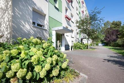 Wohnung Cottbus - 3 Zimmer, 57 m&sup2;, 405&euro; | Angebot:26645553