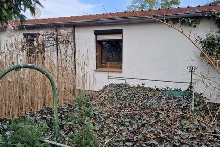 Haus Forst (Lausitz) - 50.000&euro; | Angebot:25636569