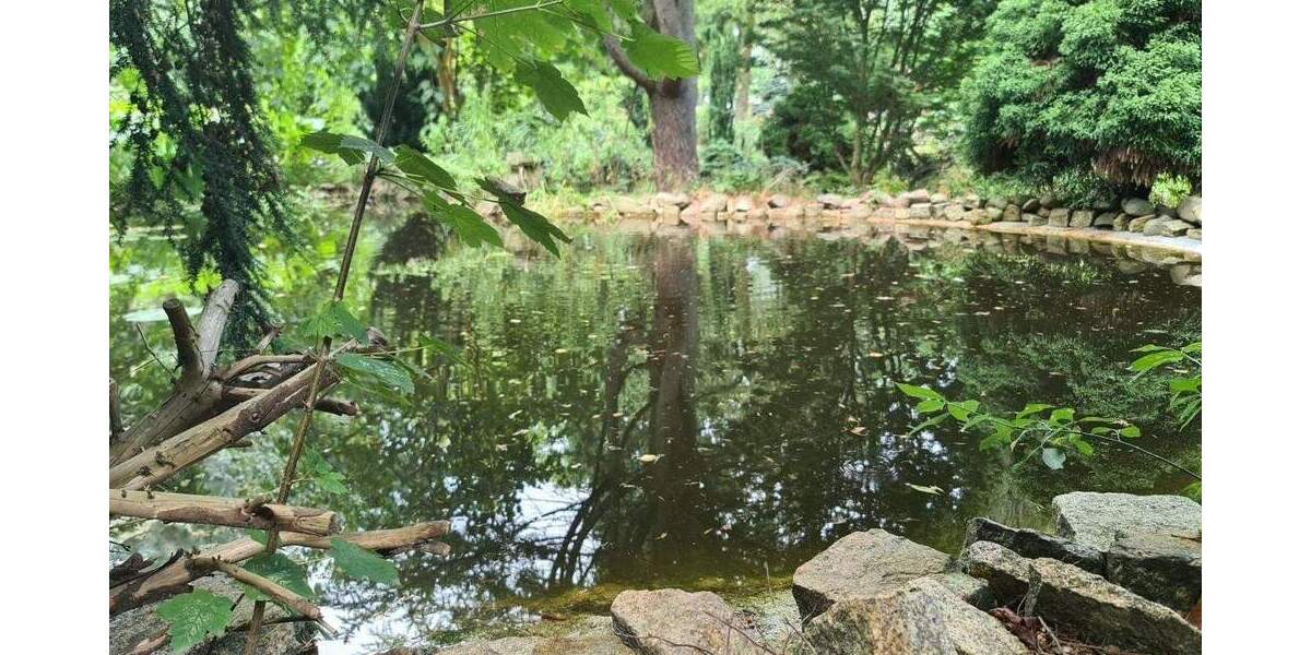 !!! Gebotsverfahren !!! Ehemaliger Schaugarten einer Baumschule möchte wiederbelebt werden! 4 zimmer