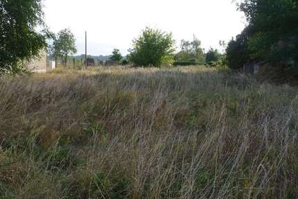 Grundstück Forst - 7.000&euro; | Angebot:23299127