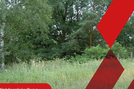 großzügiges Baugrundstück in Gallinchen am Wald zimmer