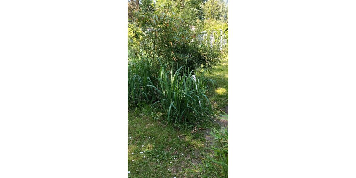 Bungalow Spremberg - 1 Zimmer, 40 m&sup2;, 55.000&euro; | Angebot:26857756
