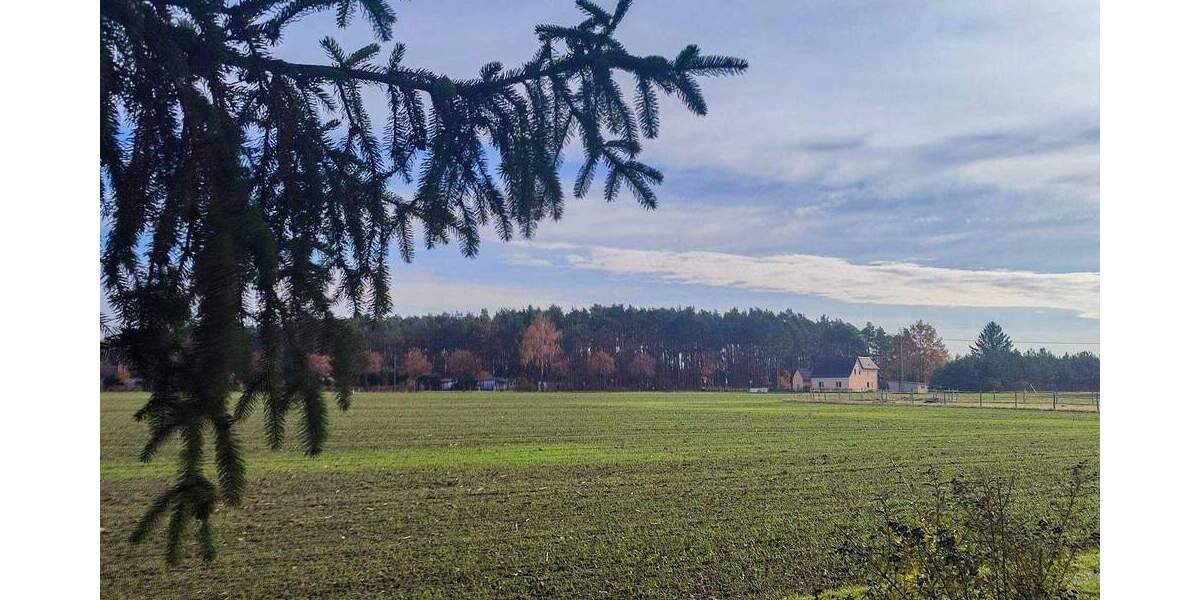 Einfamilienhaus mit großem Grundstück 4 zimmer