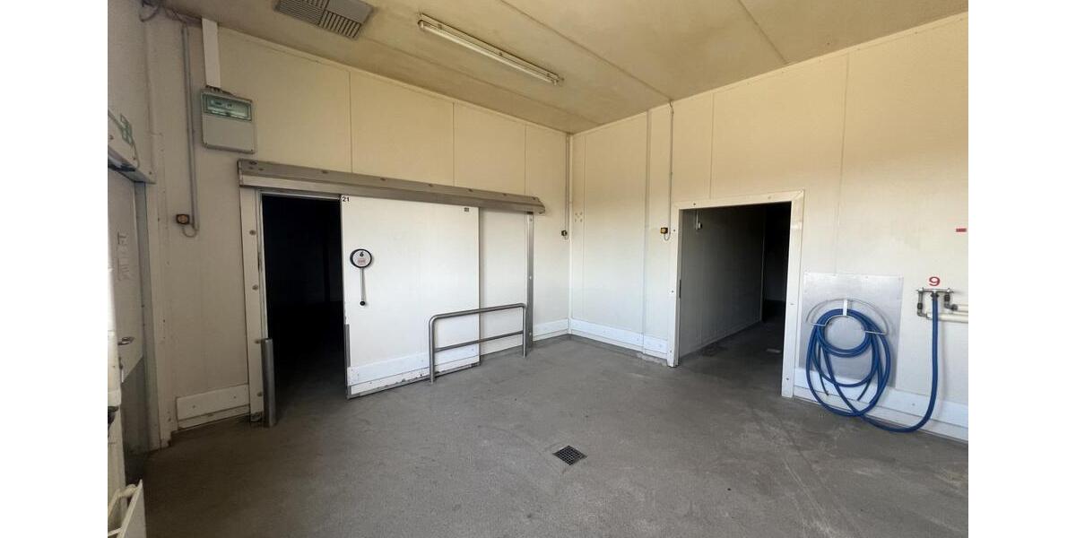 Warmhalle mit 8 Kühlzellen in Cottbus Merzdorf provisionsfrei zu zimmer