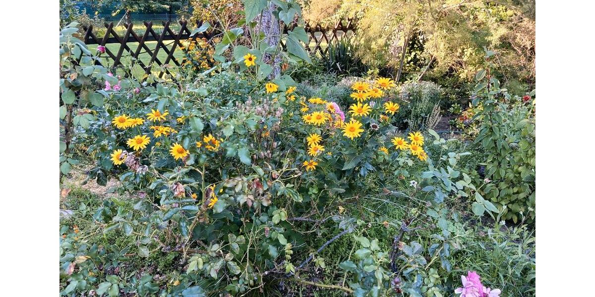 Einfamilienhaus von Privat zu verkaufen 3 zimmer