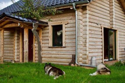 Grundstück mit Blockhaus und Baupotenzial: Für Aussteiger, Tierliebhaber & Individualisten