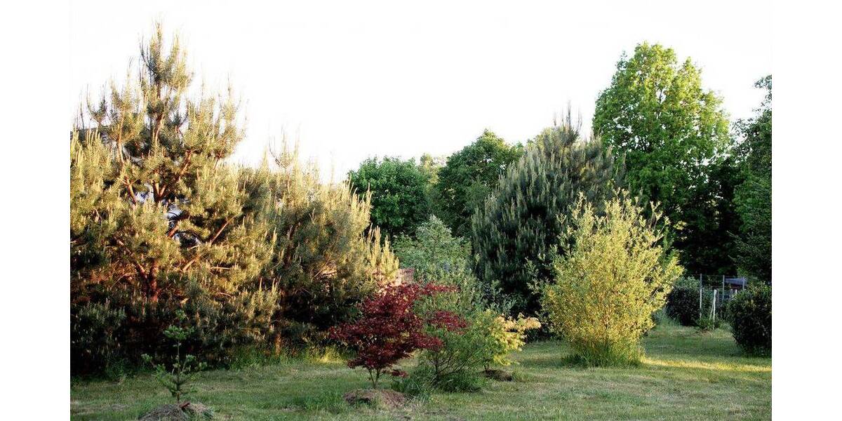 Mehrfamilienhaus, Wohnhaus Sergen / Neuhausen Sergen - 3 Zimmer, 55 m&sup2;, 179.000&euro; | Angebot:26796291