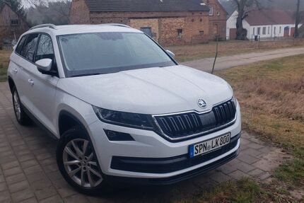 Skoda Kodiaq 191.000 km 17.900 &euro; Cottbus 03046