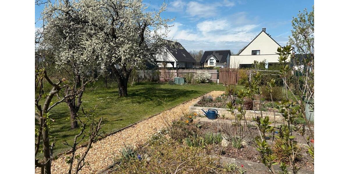Doppelhaushälfte Cottbus Sielow - 5 Zimmer, 180 m&sup2;, 285.000&euro; | Angebot:26339862