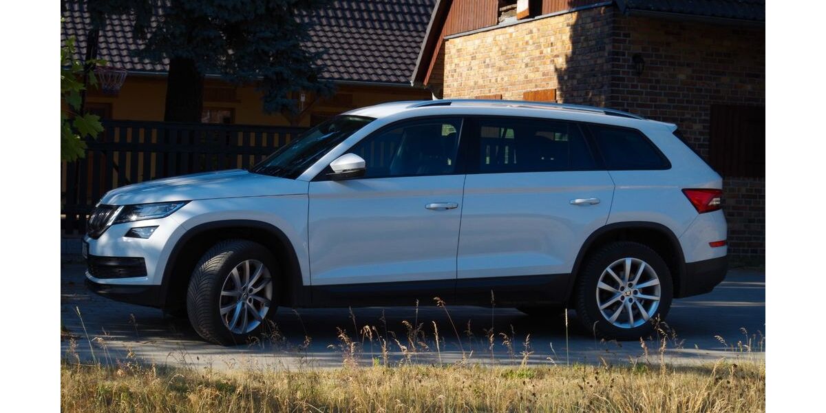 Skoda Kodiaq 176.000 km 21.000 &euro; Cottbus 03046