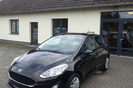 Ford Fiesta 71.477 km 10.485 € Jaenschwalde 03197