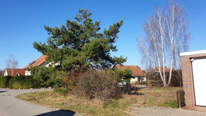 Grundstück Calau Werchow - 29.000&euro; | Angebot:26160857