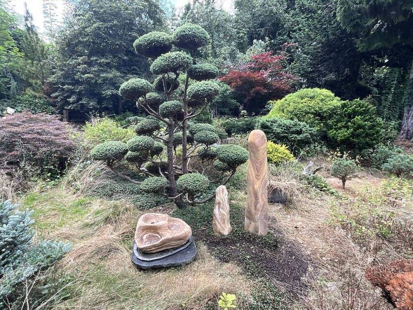 Ehemaliger Schaugarten einer Baumschule möchte wiederbelebt werden