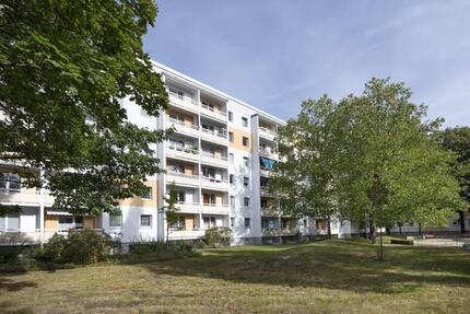 Wohnung Cottbus Brunschwig - 2 Zimmer, 48 m&sup2;, 315&euro; | Angebot:25352641