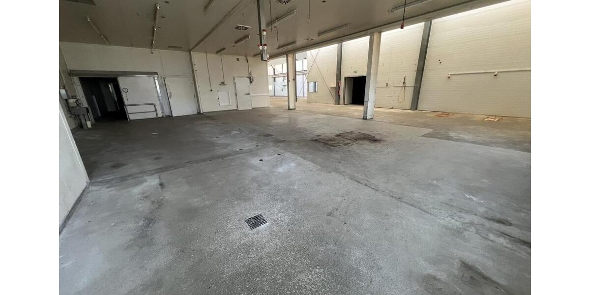 Warmhalle mit 8 Kühlzellen in Cottbus Merzdorf provisionsfrei zu zimmer