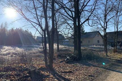 Baugrundstück im Spreewald Schmogrow zu verkaufen zimmer