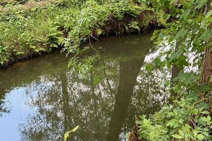 Haus Burg - 4 Zimmer, 123 m&sup2;, 399.000&euro; | Angebot:24637365