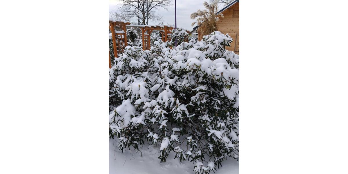 Einfamilienhaus Spremberg - 2 Zimmer, 80 m&sup2;, 140.000&euro; | Angebot:25054418