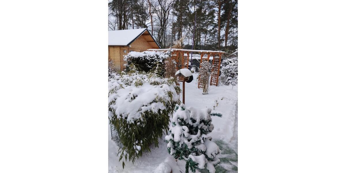 Einfamilienhaus Spremberg - 2 Zimmer, 80 m&sup2;, 140.000&euro; | Angebot:25054418