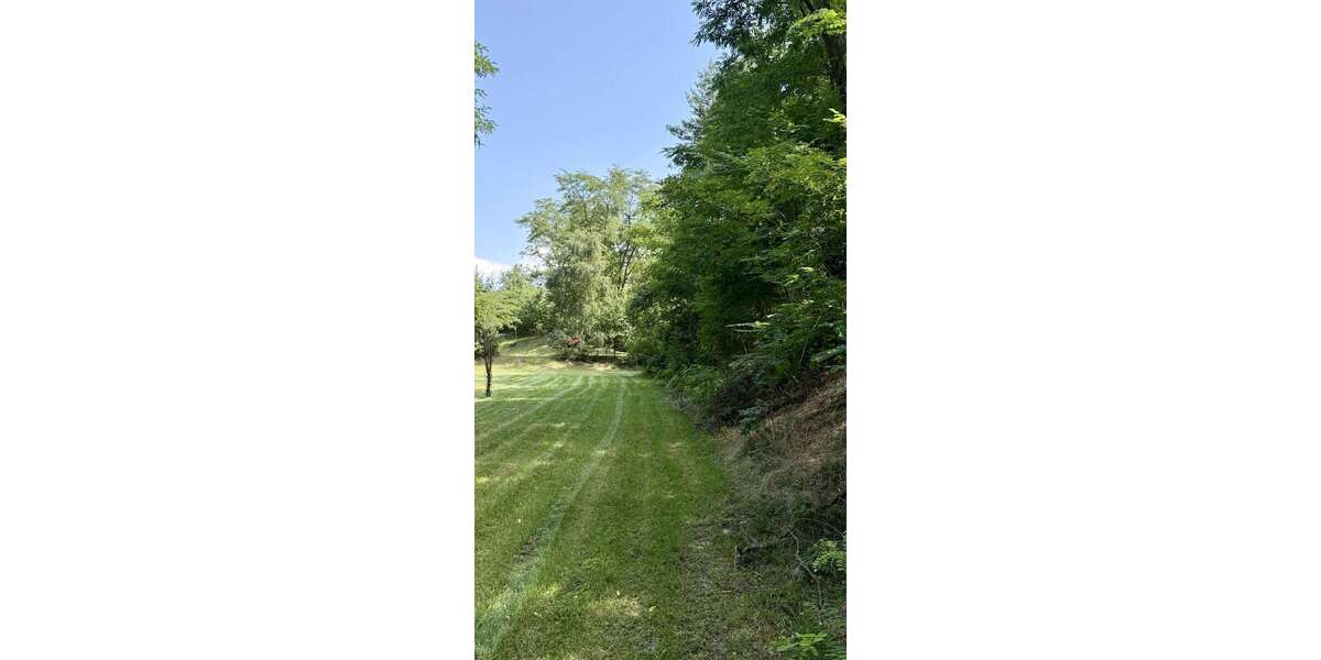 Ihr Juwel in Top Lage von CottbusSielow - Wohnen und Gewerbe! - Gewerbeobjekt Cottbus / Sielow Sielow | Angebot:25238875