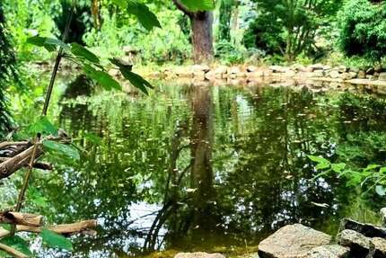 Haus Döbern - 4 Zimmer, 91 m&sup2;, 130.000&euro; | Angebot:25447953