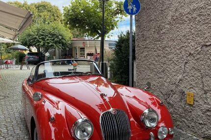 Jaguar XK