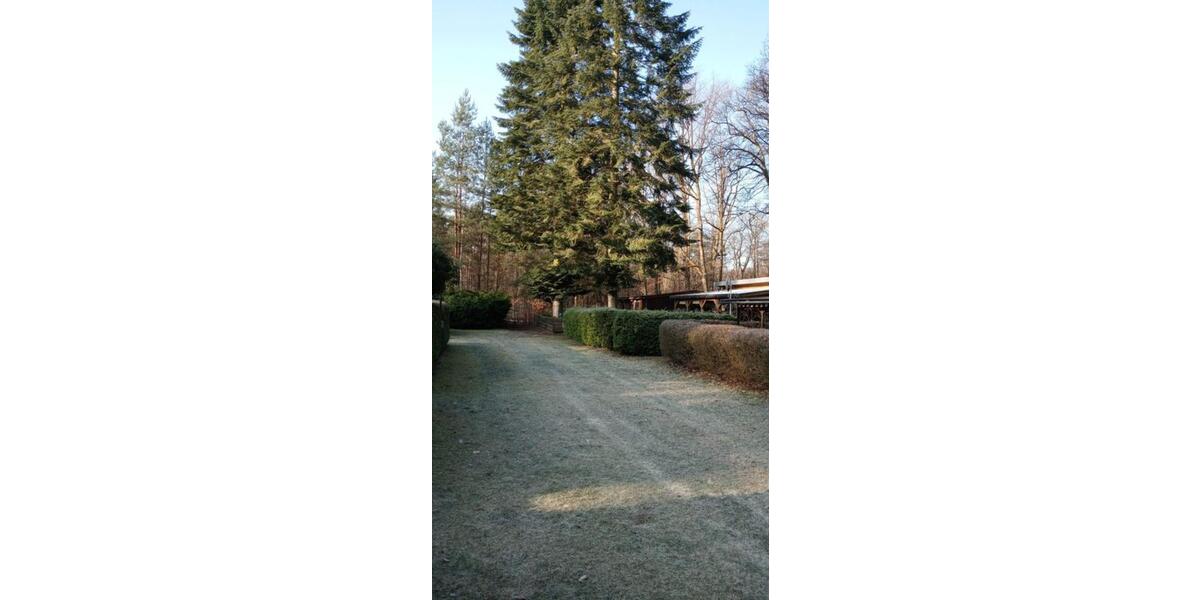 Bungalow Peitz - 1 Zimmer, 50 m&sup2;, 30.000&euro; | Angebot:25965003