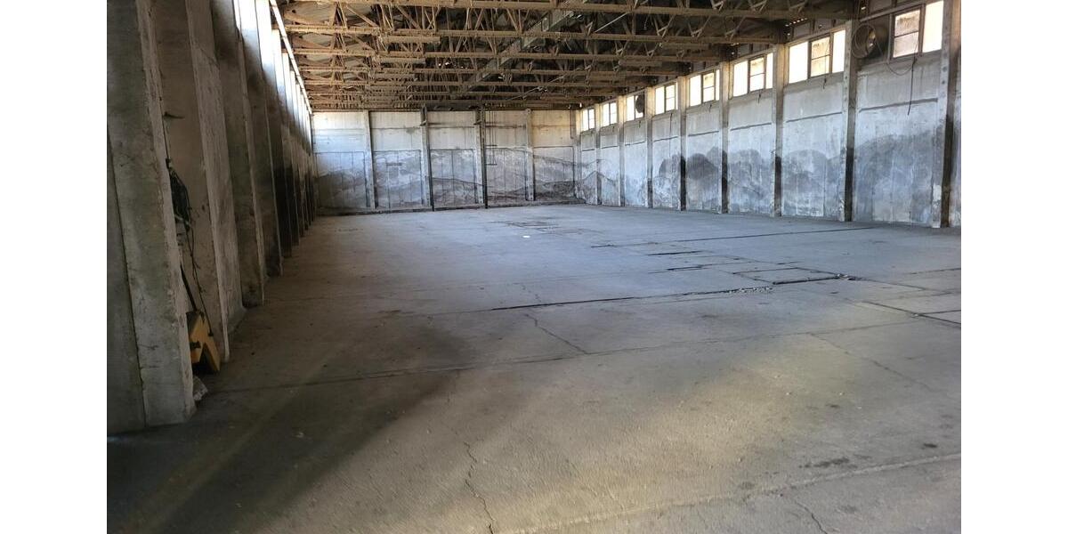 Gewerbeobjekt Forst (Lausitz) - 1.000&euro; | Angebot:24980452