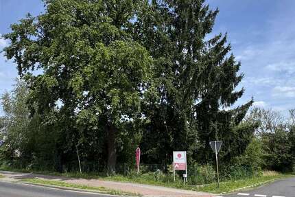 Grundstück Döbern - 35.000&euro; | Angebot:25995477