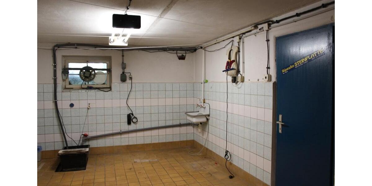 Einfamilienhaus Cottbus Merzdorf - 4 Zimmer, 105 m&sup2;, 380.000&euro; | Angebot:27224996