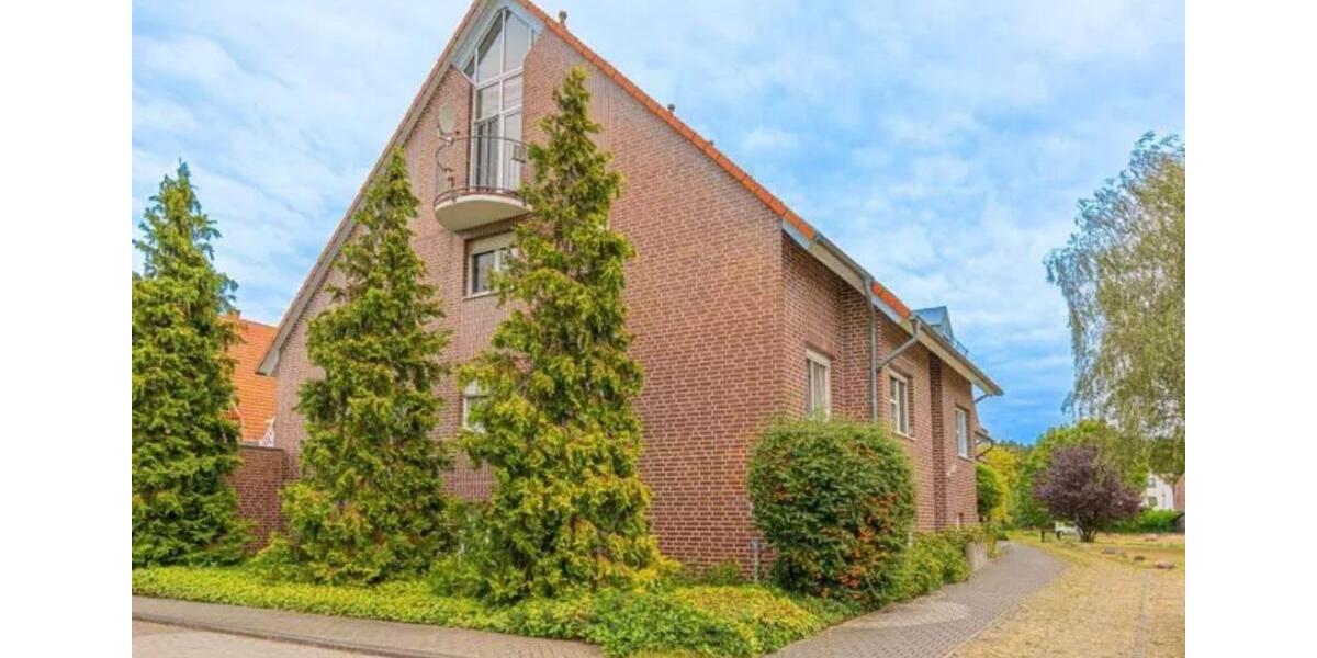 Erdgeschoßwohnung Cottbus Sachsendorf - 1 Zimmer, 42 m&sup2;, 439&euro; | Angebot:25160471