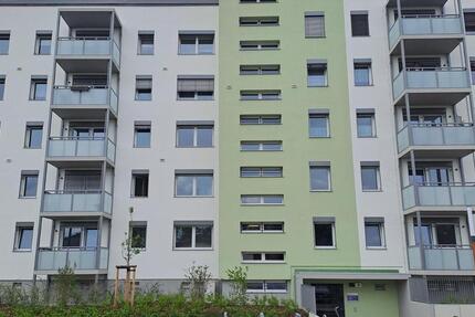 Wohnung Cottbus Spremberger Vorstadt - 1 Zimmer, 30 m&sup2;, 575&euro; | Angebot:20537091